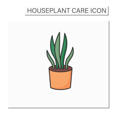 Sansevieria trifasciata renk simgesi
