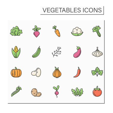 Sebze rengi simgeleri