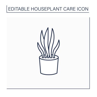 Sansevieria trifasciata çizgi simgesi