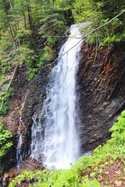 Vahşi ormanda taşlarla pitoresk şelale