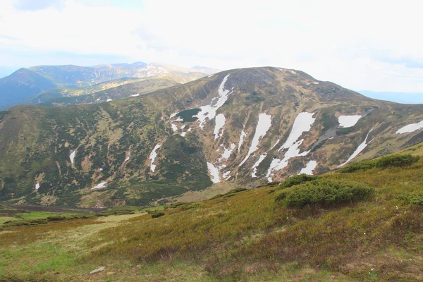 La primavera llega a una montaña —  Fotos de Stock