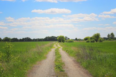 Yol alanında. Yeşil çim, çalılar ve mavi gökyüzünde bulutlar