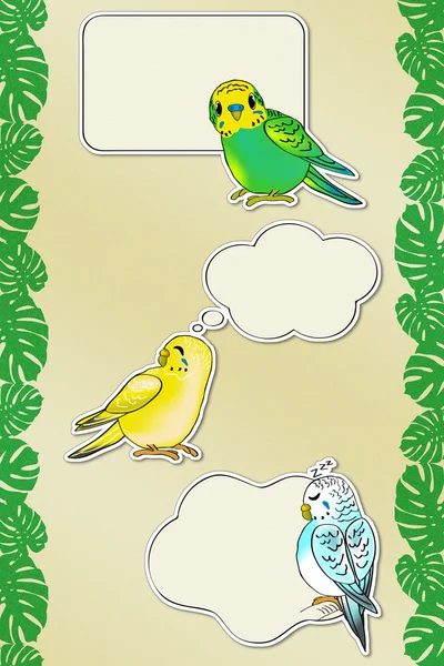 Funny Budgies Messages (with the Path) — Stock Photo, Image