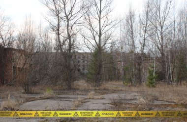 Çernobil bölgesi ıssız büyümüş topraklarında. Ukrayna