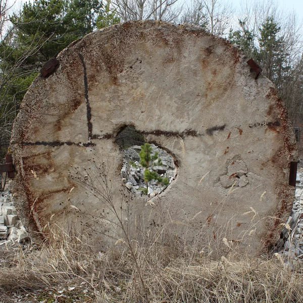 Estranhas ruínas de construção de pedra. Chernobyl. Ucrânia — Fotografia de Stock