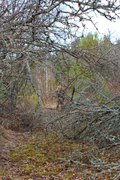 Размытая фигура женщины в переплетении ветвей, покрытых мхом — стоковое фото