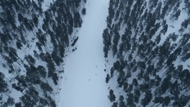 Vista aérea del centro de esquí Sarikamis en Kars en Turquía — Vídeos de Stock