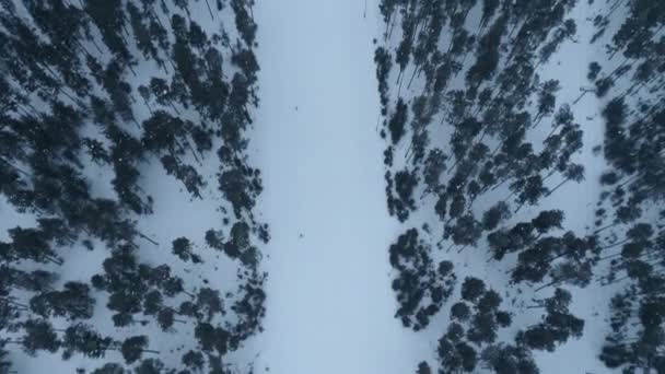 土耳其卡尔斯Sarikamis滑雪中心的空中景观 — 图库视频影像