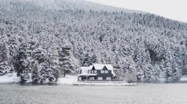 Türkiye 'nin Bolu ilçesindeki Golcuk Doğa Parkının hava manzarası. Kış mevsimi, karla kaplı ormanlar