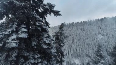 Kışın karla kaplı donmuş bir ormanın havadan görünüşü. Türkiye 'de kış ormanı üzerinde uçuş,