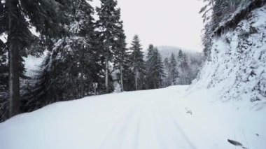 Kışın karla kaplı ağaçlarla kaplı donmuş bir orman manzarası. 