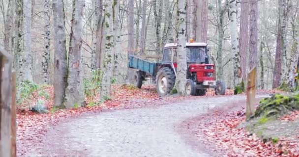 Vue du tracteur des chutes de neige et des récoltes. — Video