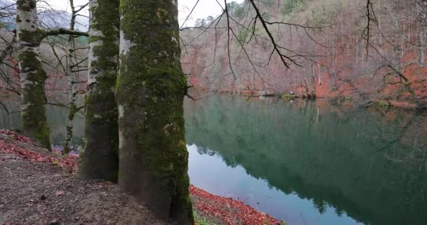 Vista del Parque Nacional Yedigoller en Bolu en Turquía — Vídeo de stock