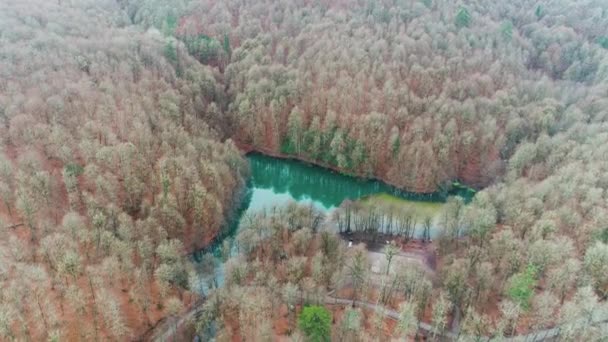 Vue aérienne du parc national du Yedigoller à Bolu en Turquie — Video