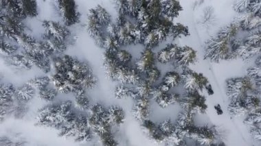 Kışın karla kaplı donmuş bir ormanın gökyüzü manzarası..