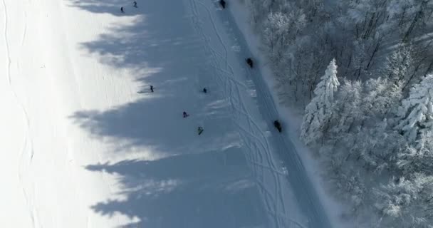 Вид зверху на замерзлий ліс зі сніговим покриттям дерев взимку . — стокове відео