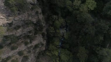 Türkiye 'deki Ayvalik Ormanı' nın havadan görünüşü