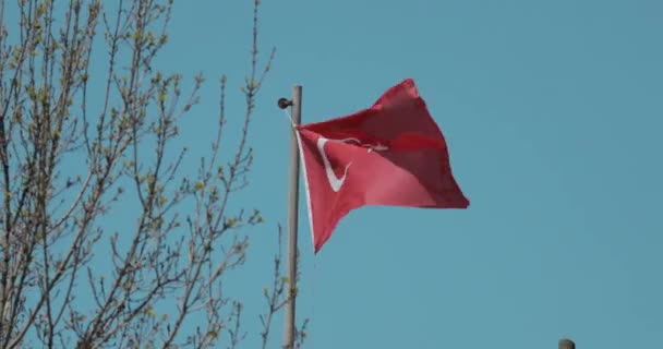 View of a waving Turkish flag — Stock Video