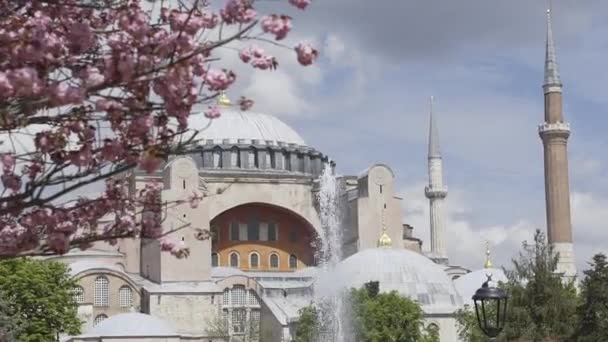 Vista de Hagia Sophia em Istambul — Vídeo de Stock