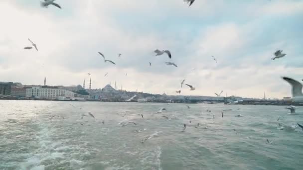 Αεροφωτογραφία του τοπίου της Πόλης. 4K Πλάνα στην Τουρκία — Αρχείο Βίντεο