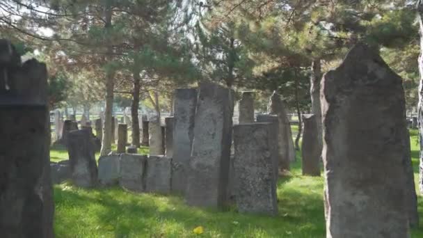 Historyczny cmentarz osmański w Kayseri — Wideo stockowe