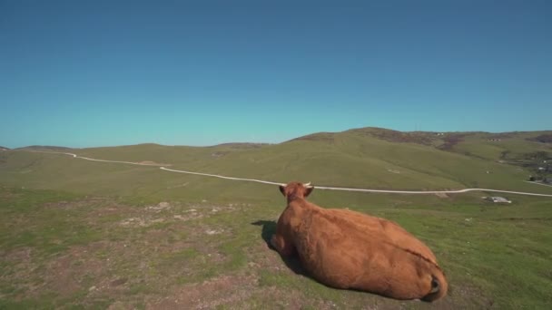 Vista de cerca de la meseta de vaca y Persembe en Turquía — Vídeo de stock
