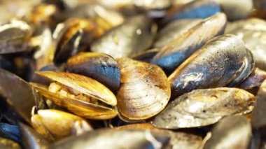 Türk sokak yemekleri midye dolması