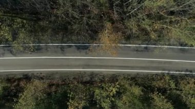 Türkiye 'de asfalt yol ve orman manzarasının hava manzarası