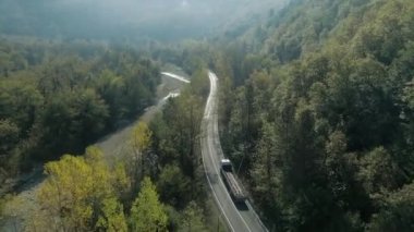 Türkiye 'de asfalt yol ve orman manzarası