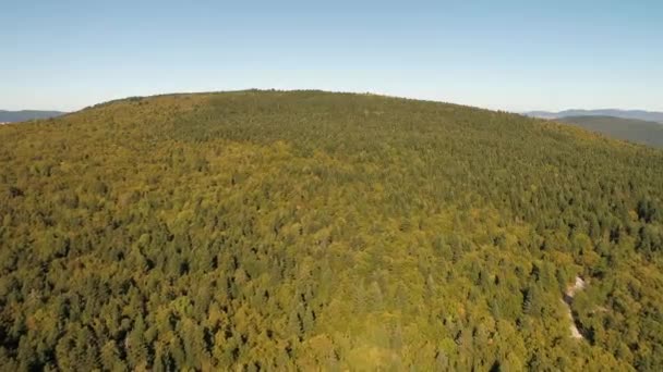 Luftaufnahme des Kastamonu-Waldes in der Türkei. — Stockvideo