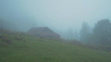 Giresun 'daki Kumbet Platosu manzarası. Sisli hava. Türkiye 'de 4K Görüntüsü