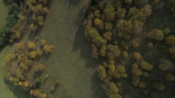 Vista aérea do plateu Kumbet em Giresun.4K Filmagem na Turquia — Vídeo de Stock