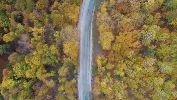 Vista aérea superior da estrada acima na floresta. Filmagem 4K na Turquia — Vídeo de Stock