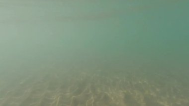 Güneş ışığı su altında ışıldar. Türkiye 'de 4K Görüntüsü