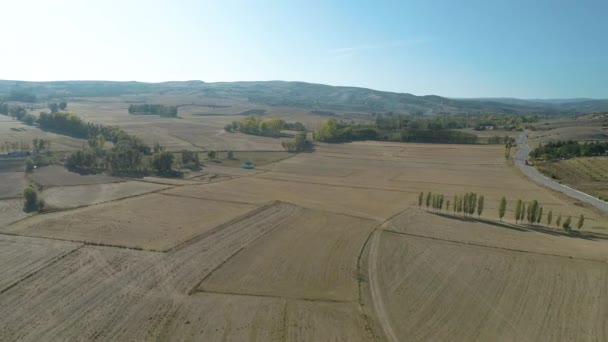 Повітряний вид на рисове поле в Корумі. 4K кадри в Туреччині — стокове відео