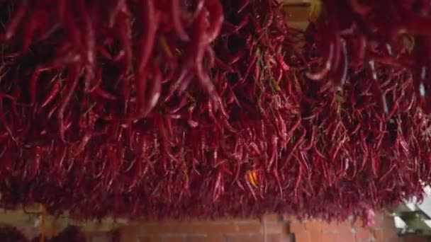 Много красного перца висит на стене дома и высыхает традиционным способом — стоковое видео