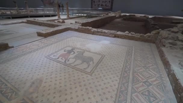 Sanliurfa, Turkije - 05.03.2019: Sanliurfa Archeologie en Mozaïek Museum in Turkije — Stockvideo