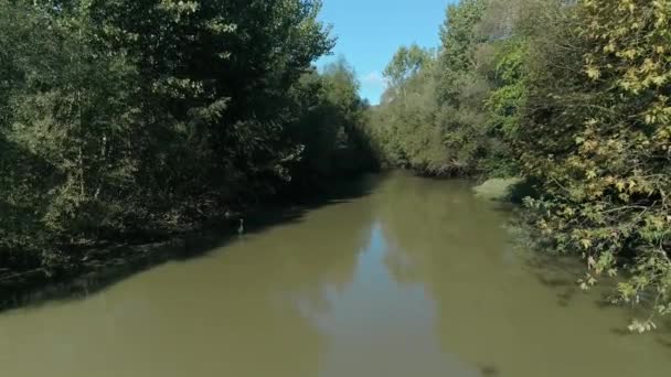 Flygfoto över liten flod i Bartin. 4K-bilder i Turkiet — Stockvideo