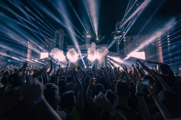 Medusa güneş plaj Festivali