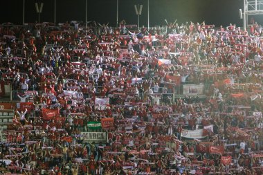 Final sınıflandırması Sevilla destekçileri kutlamak