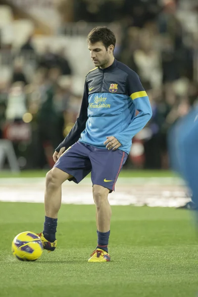 Cesc fabregas İspanya Ligi maç sırasında