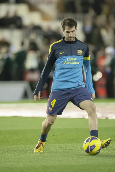Cesc fabregas İspanya Ligi maç sırasında