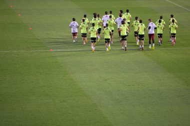 Training Session of National Football Team of Spain clipart