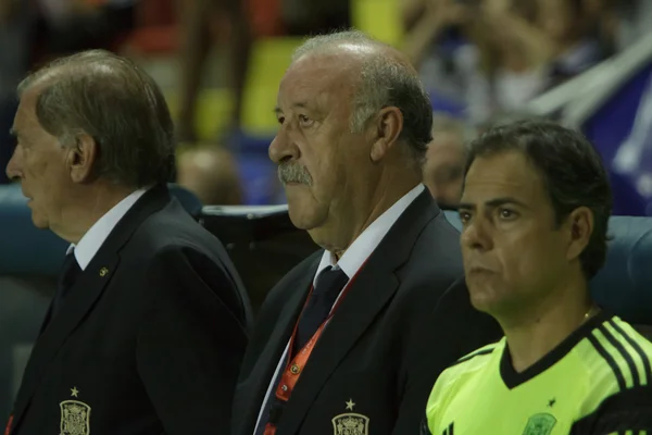 Vicente del bosque (entrenador) — Foto de Stock