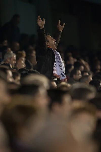 Fans during the game — Stock Photo, Image