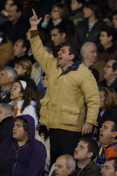 Abanicos durante el juego — Foto de Stock