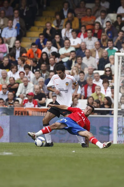 Albiol ve Brit eylem