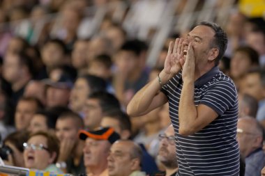 Maç sırasında fan