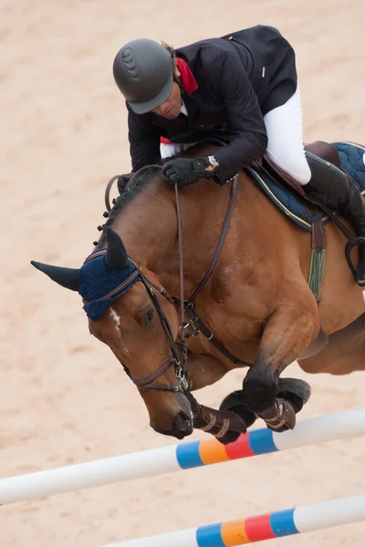 Cavaliere a cavallo durante il Global Champions Tour of Spain — Foto Stock