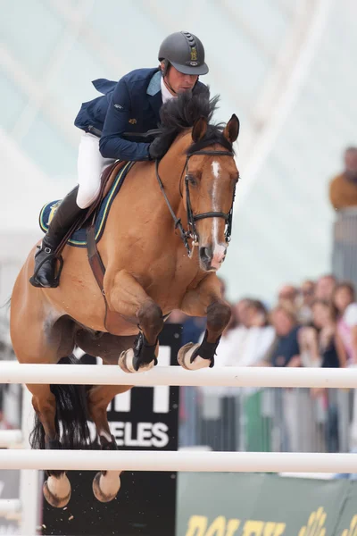 Rider on the horse during  Global Champions Tour of Spain — Stock Photo, Image